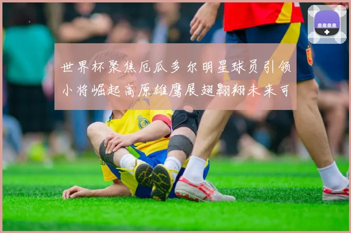 世界杯聚焦厄瓜多尔明星球员引领小将崛起高原雄鹰展翅翱翔未来可期